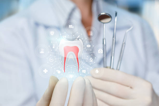 Best Dental Exams and Cleanings  in Napoleon, OH